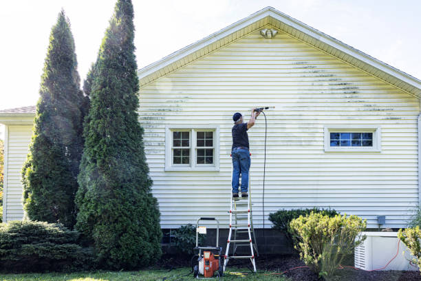 Best Gutter Cleaning  in Lake Pocotopaug, CT
